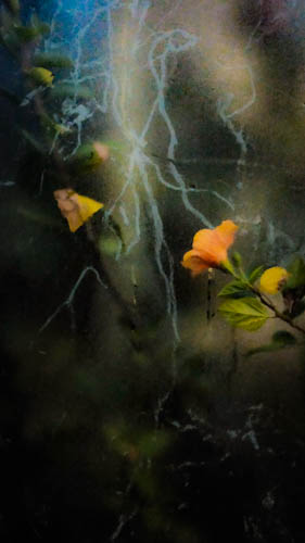 LOUIS DENNIS, Inglewood Open Studios