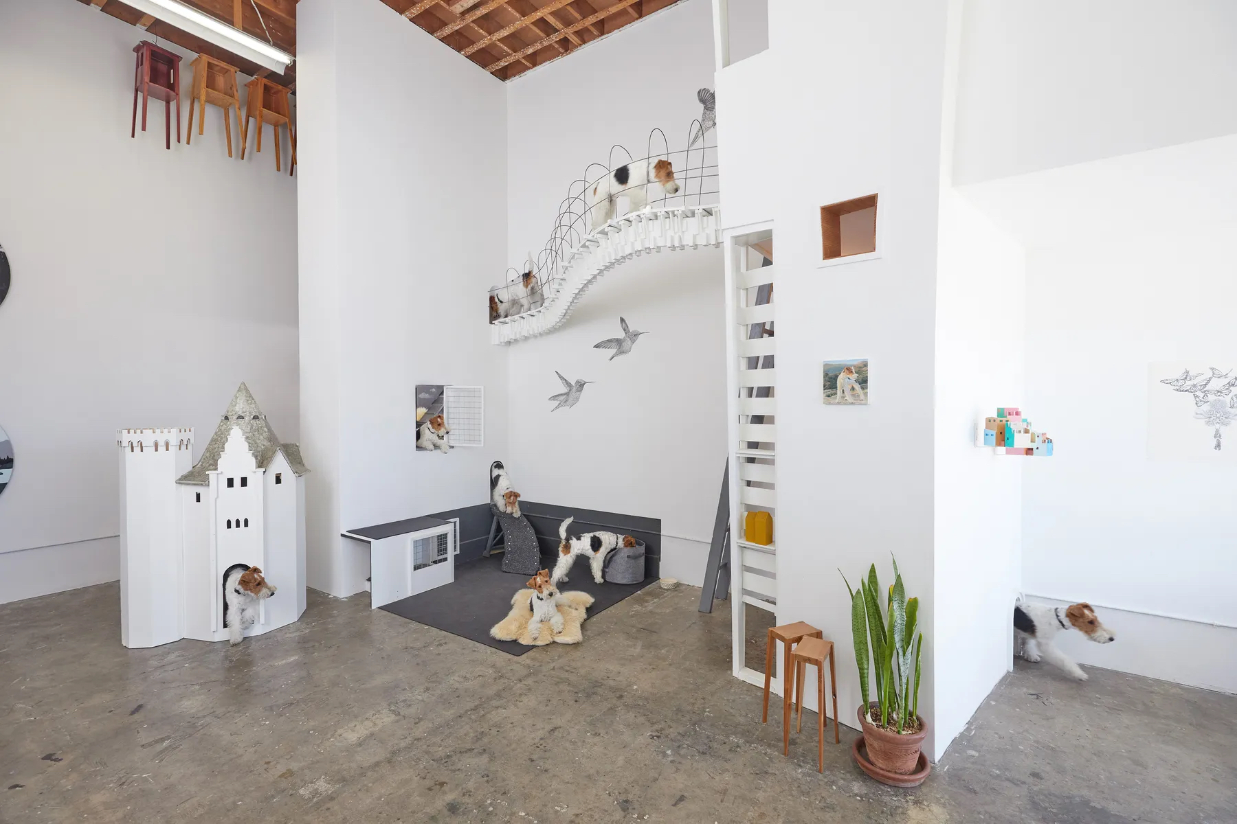 David Newcombe, Inglewood Open Studios